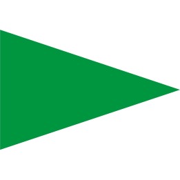 Beach safety flag green