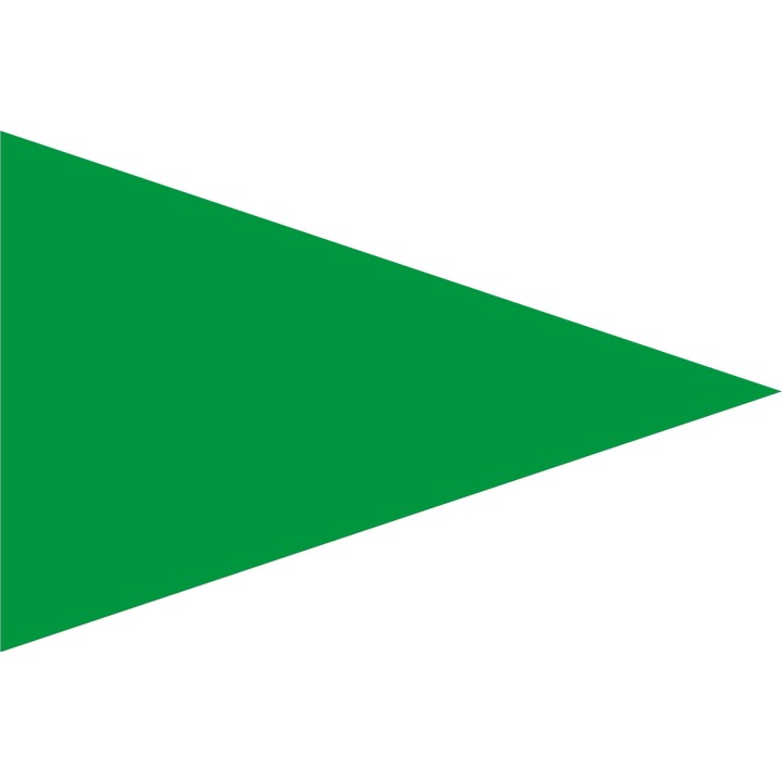 Bandera de seguridad playa verde