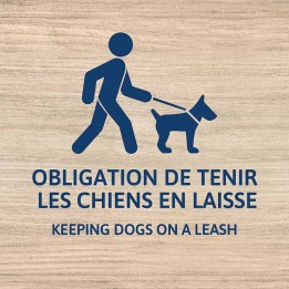 Perros con correa