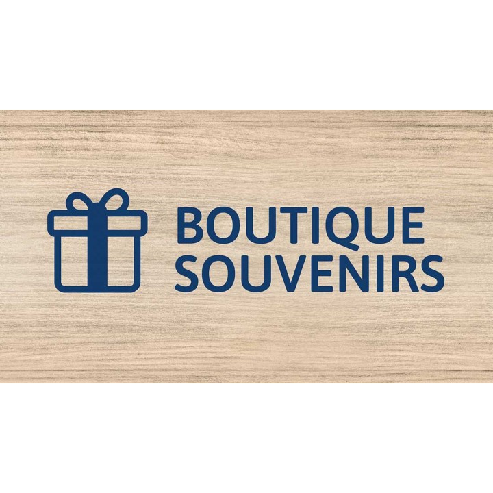 Souvenir shop (sub-area)