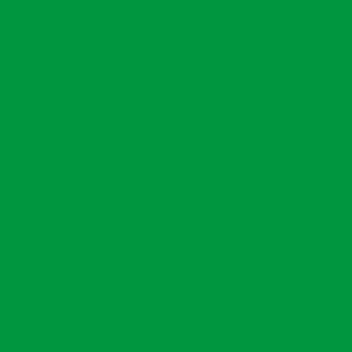 Drapeau sécurite plage vert