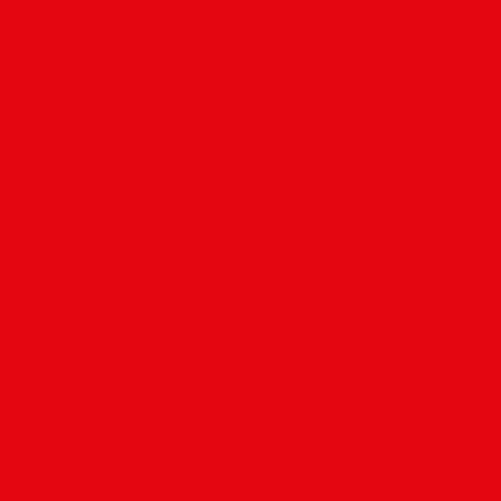 Beach safety flag red