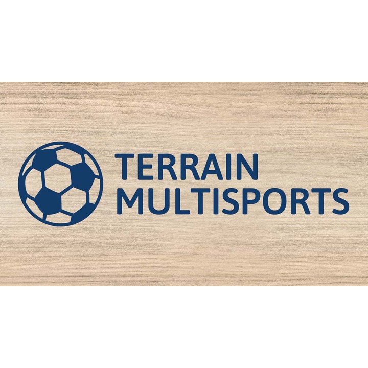 Multi-sports field