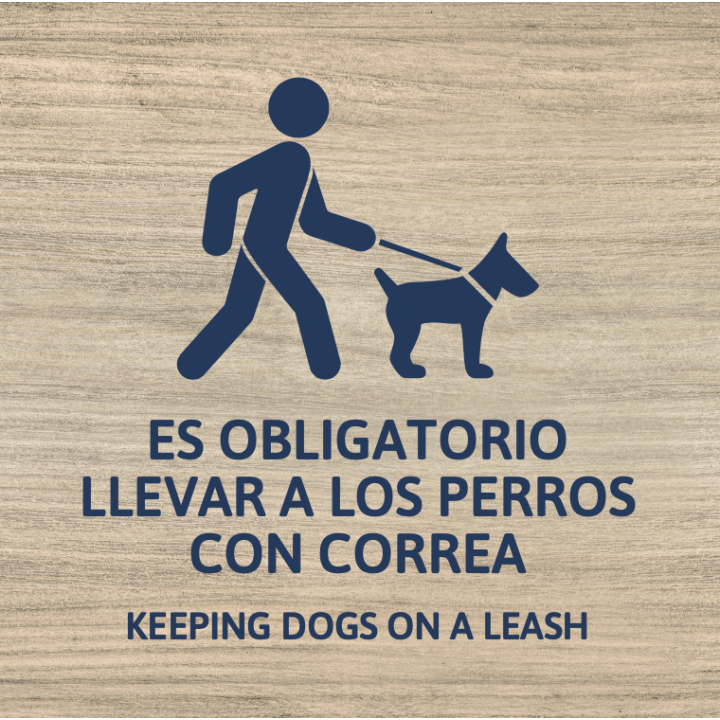 Perros con correa